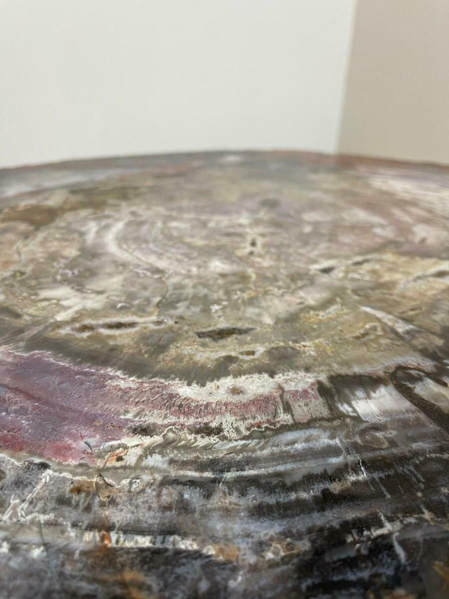 photo furniture Mid Century Petrifiedwood Coffee Table, Belgium, 1970s