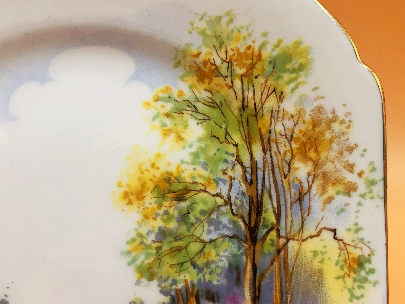 Shelley China England's Charm Cambridge Shape Tea Cup, Saucer And Side Plate Trio. 0188. 823343.   Free Uk Post photo vinterior