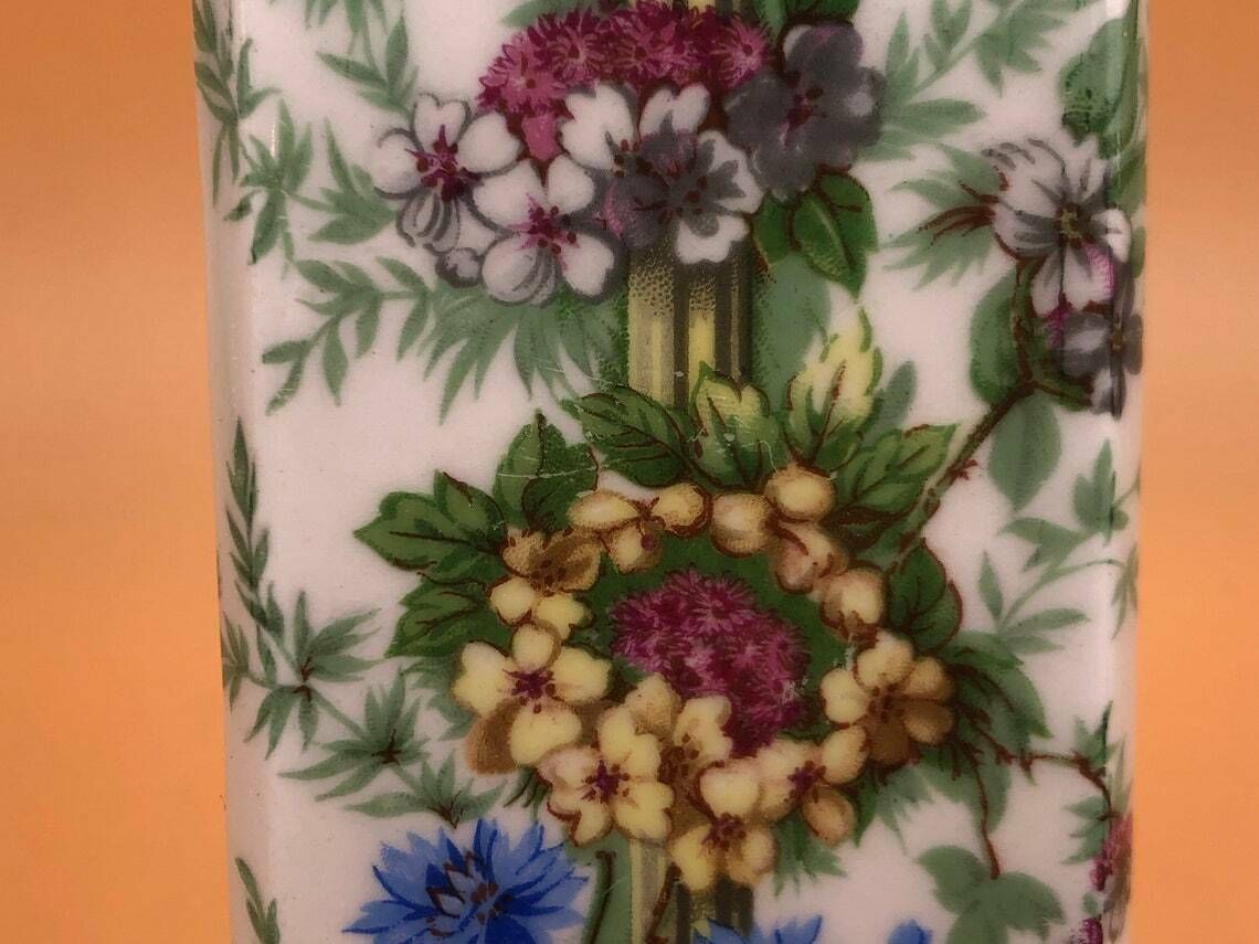 Pair Of Porcelaine De Paris, France Floral Chintz Finger Plates And Matching Coat Hook. photo Home Decor