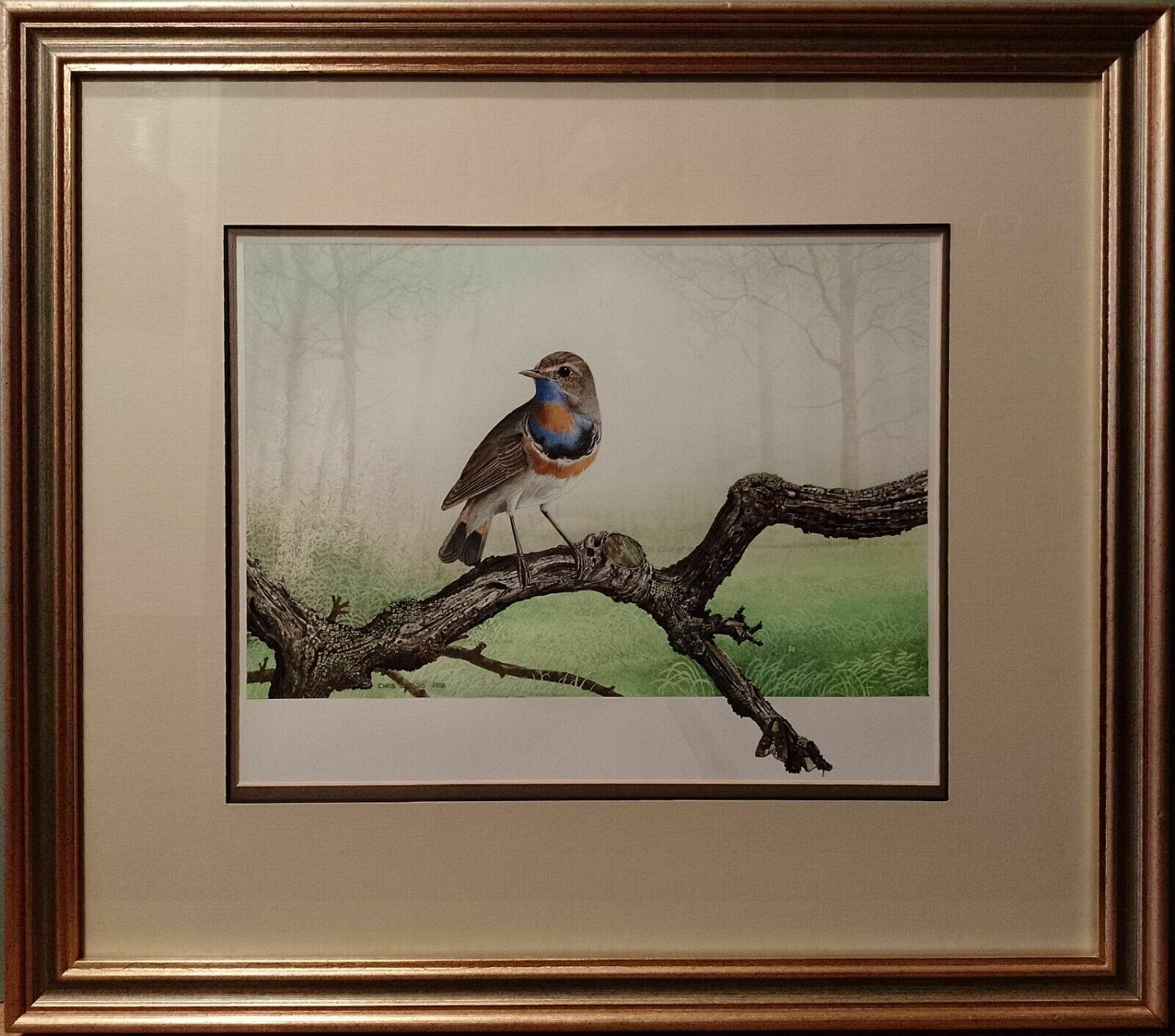 299.0 Signed Original Ornithology Gouache Painting Of Bird Bluethroat Chris Shields photo
