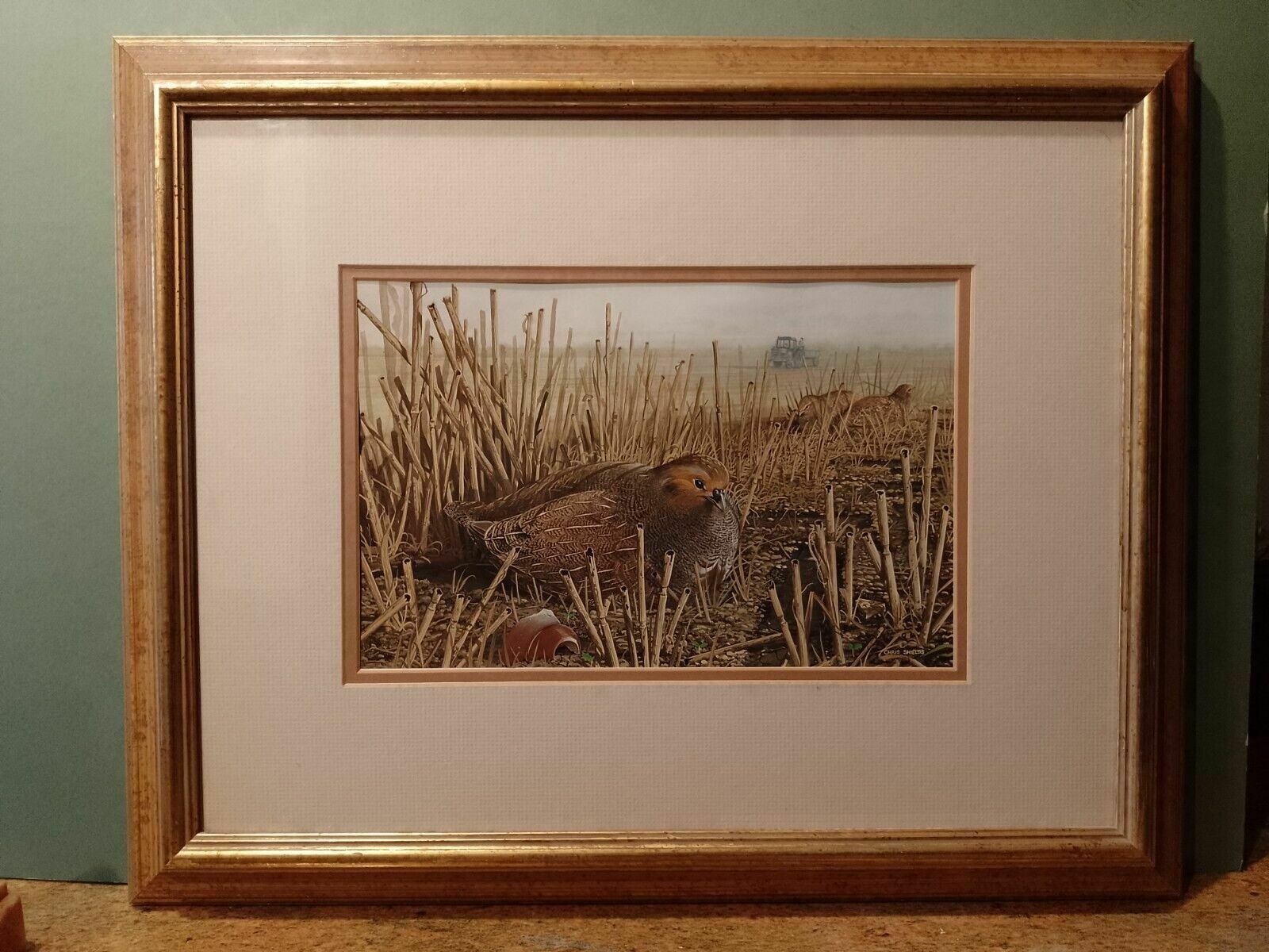 Signed Original Ornithology Gouache Painting Of Birds Chris Shields Grouse photo buy