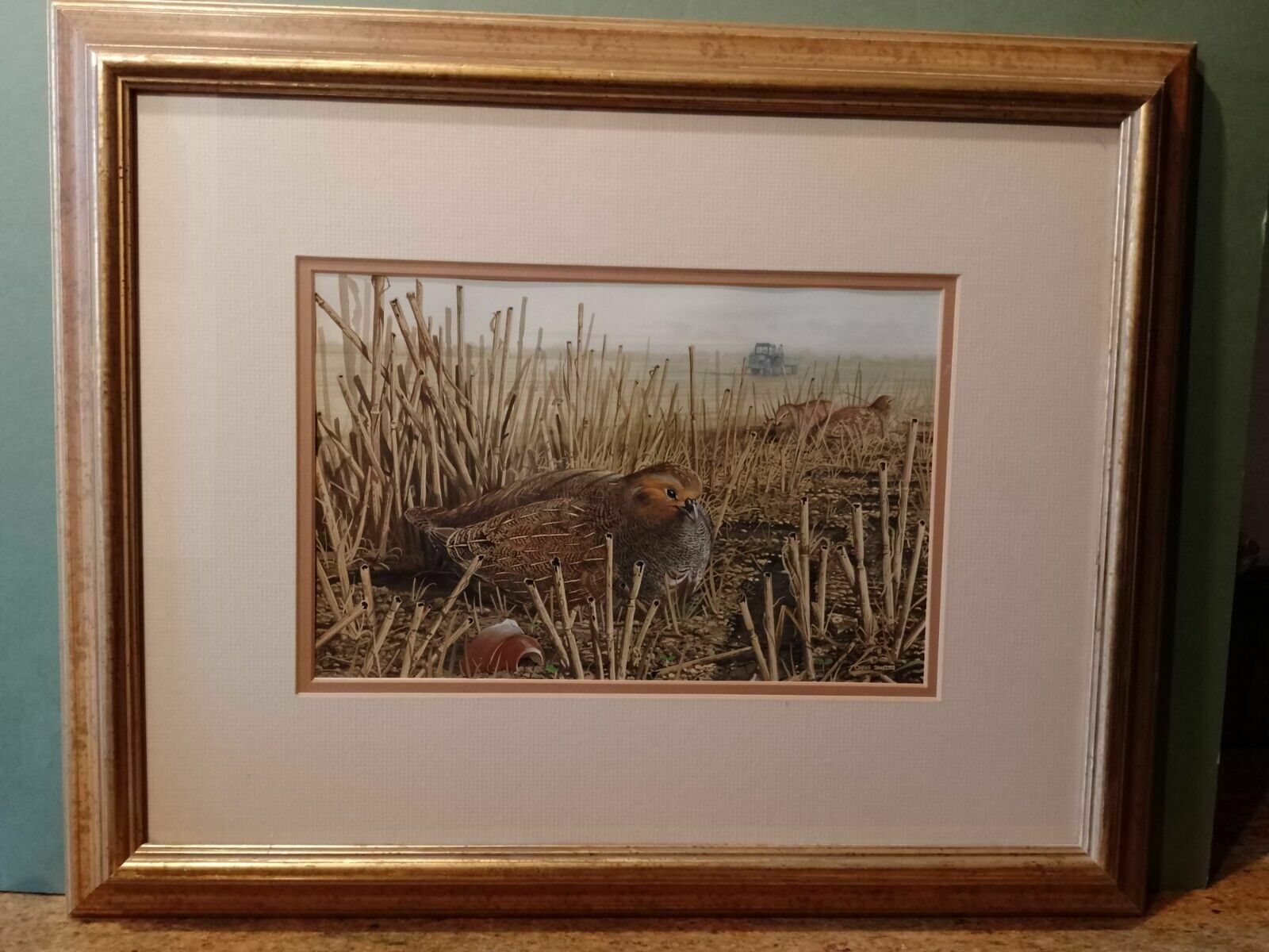 photo furniture Signed Original Ornithology Gouache Painting Of Birds Chris Shields Grouse