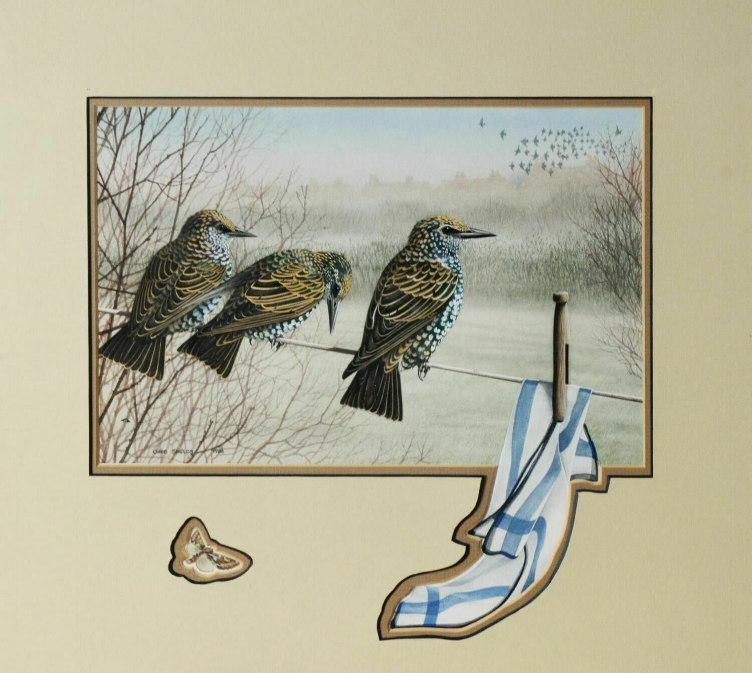 Signed Original Ornithology Gouache Painting Of Bird 3 Starlings Chris Shields photo furniture