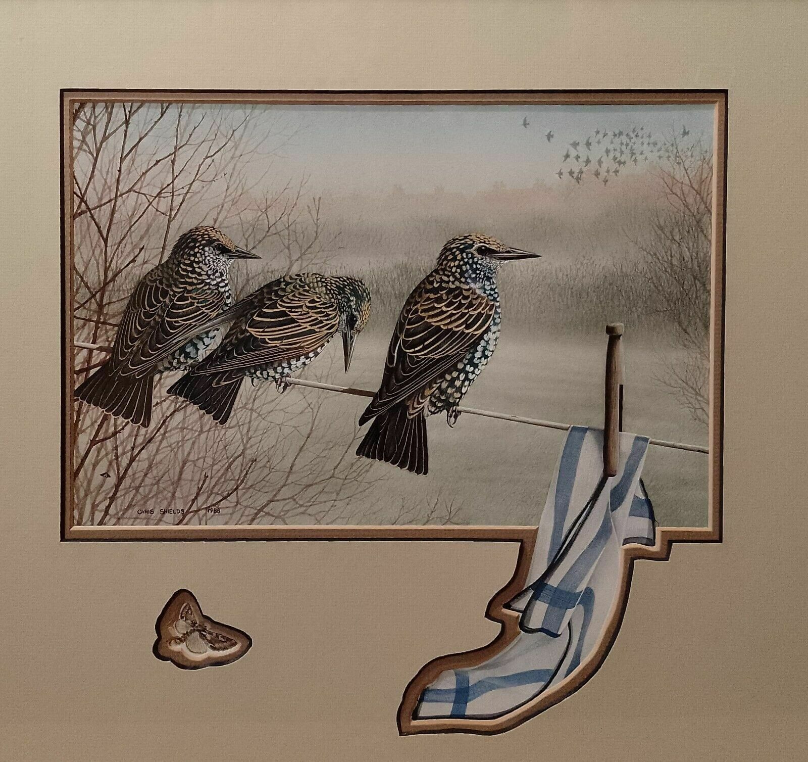 Signed Original Ornithology Gouache Painting Of Bird 3 Starlings Chris Shields photo vinterior