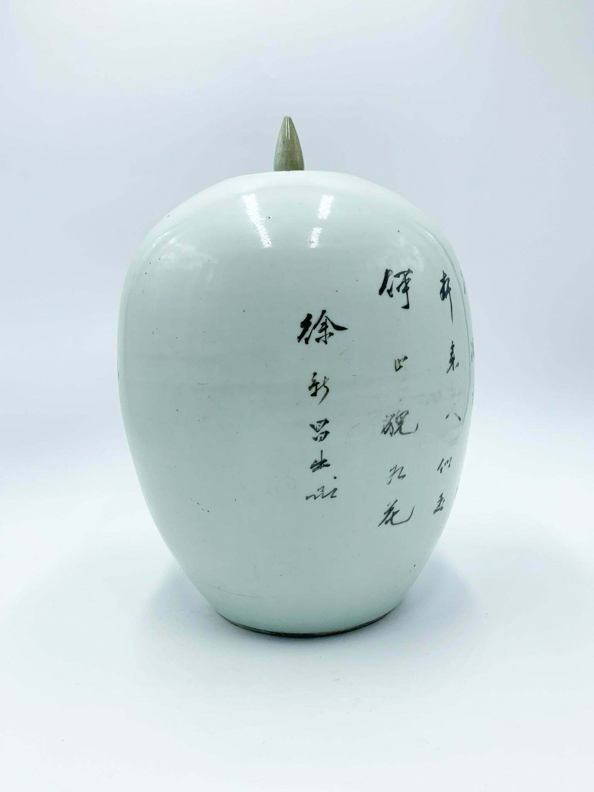 Hand Painted Chinese Porcelain Vase From The Early Twentieth Century photo Home Decor