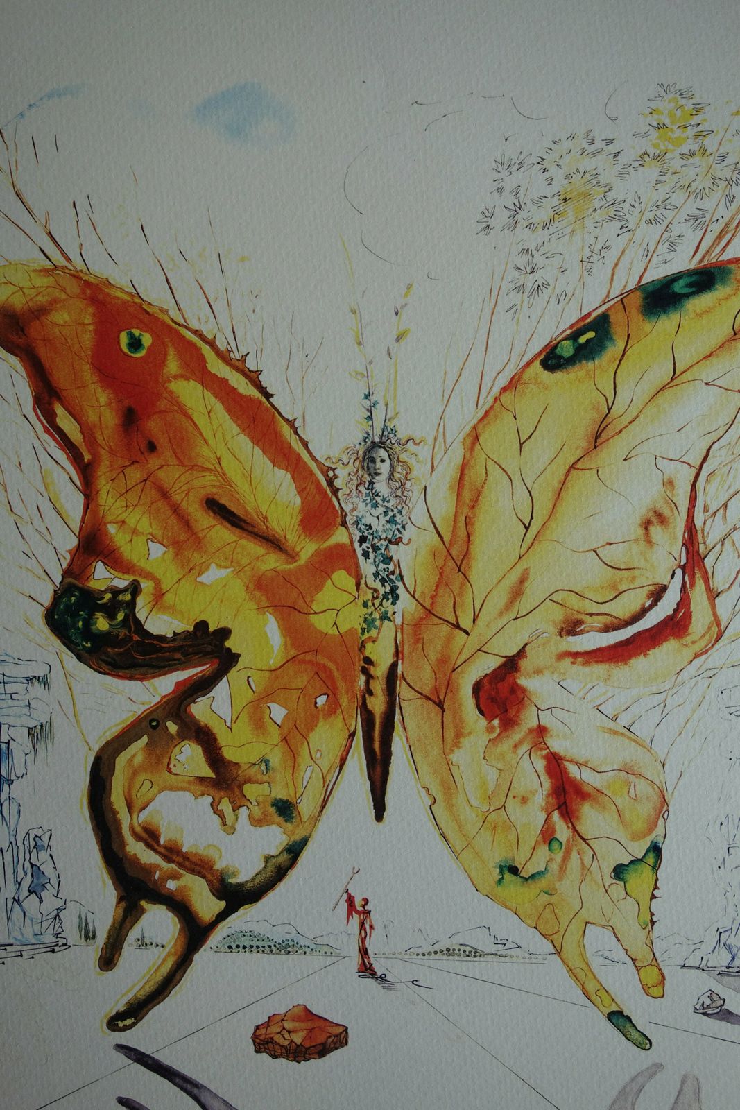 Fine Surrealist Limited Edition Print, Butterfly, Salvador Dali, Signed & Numbered In Pencil photo furniture