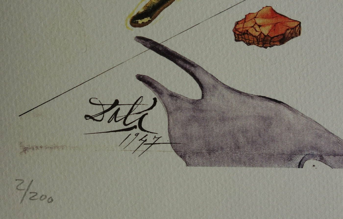 Fine Surrealist Limited Edition Print, Butterfly, Salvador Dali, Signed & Numbered In Pencil photo 213.0