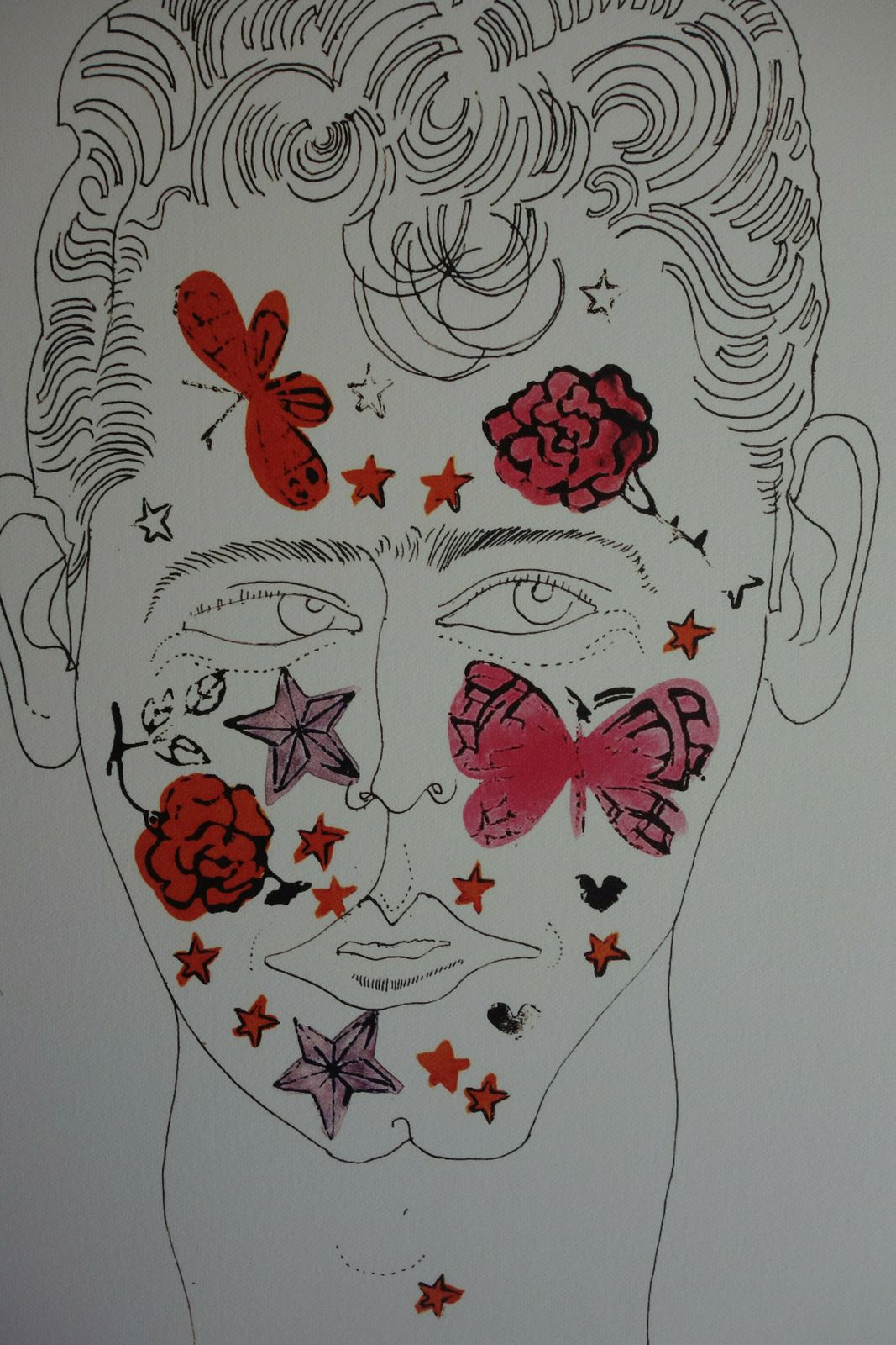 Fine Pop Art Limited Edition Print   Illustration   Portrait With Butterflies, Andy Warhol, Signed & Numbered photo furniture
