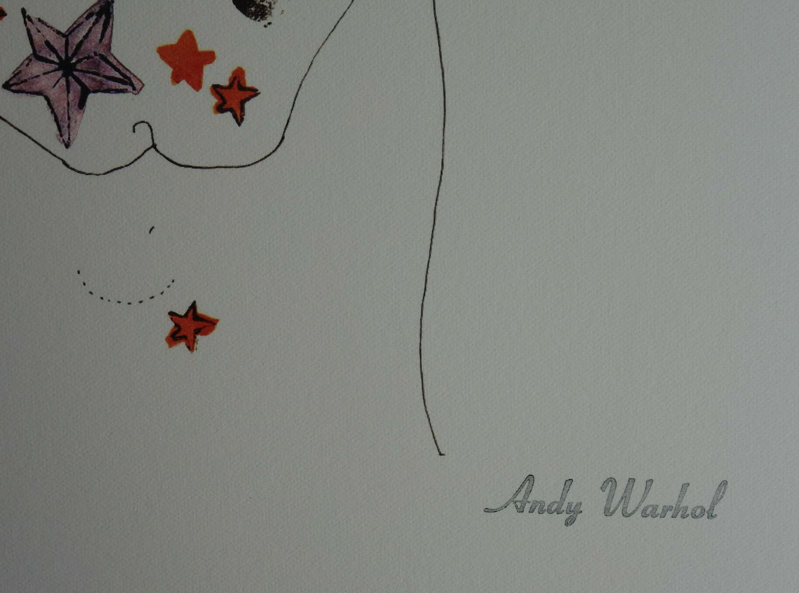 Fine Pop Art Limited Edition Print   Illustration   Portrait With Butterflies, Andy Warhol, Signed & Numbered photo Art