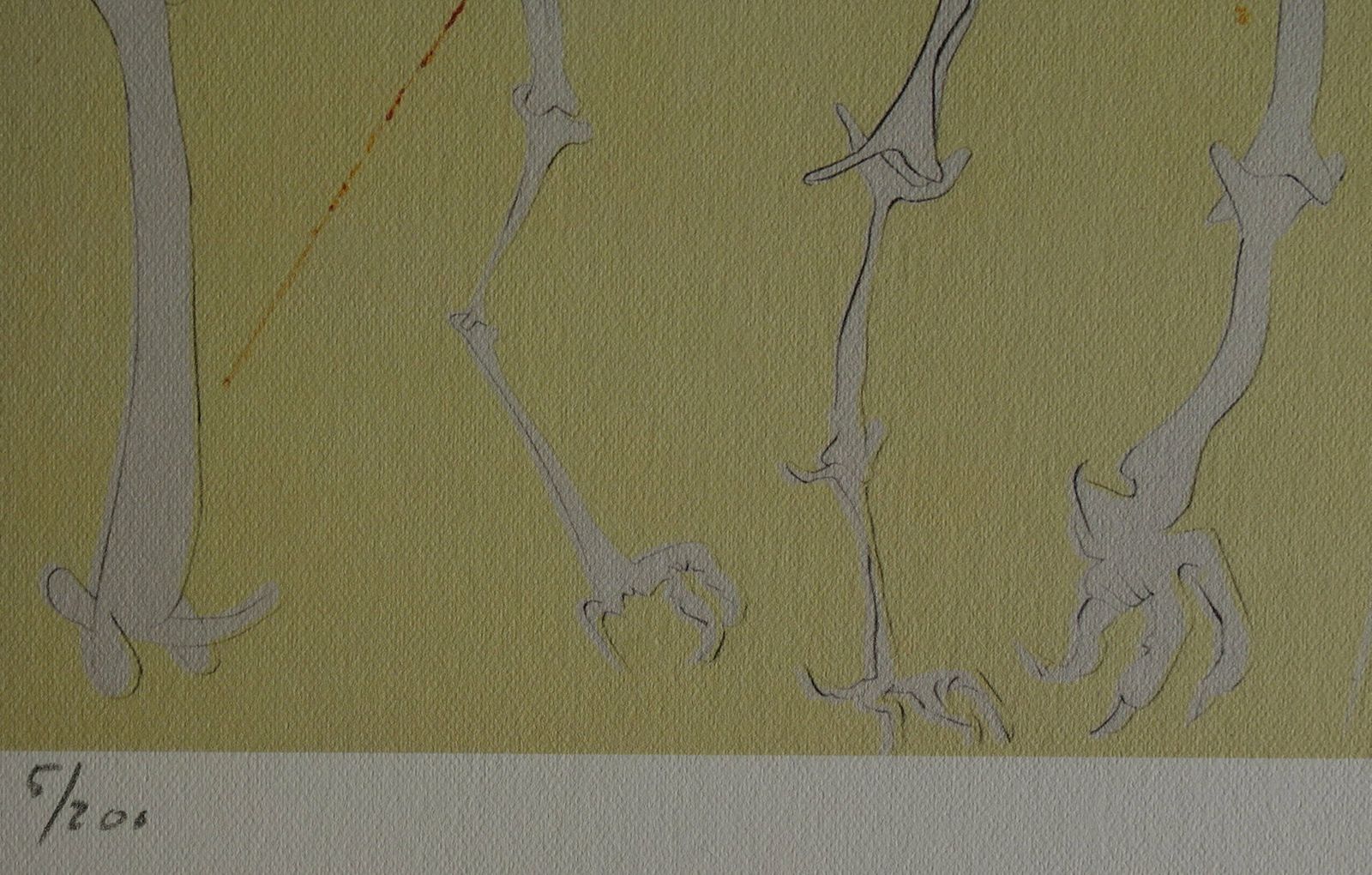 Fine Surrealist Limited Edition Print   Burning Giraffe, Salvador Dali, Signed & Numbered In Pencil photo Art