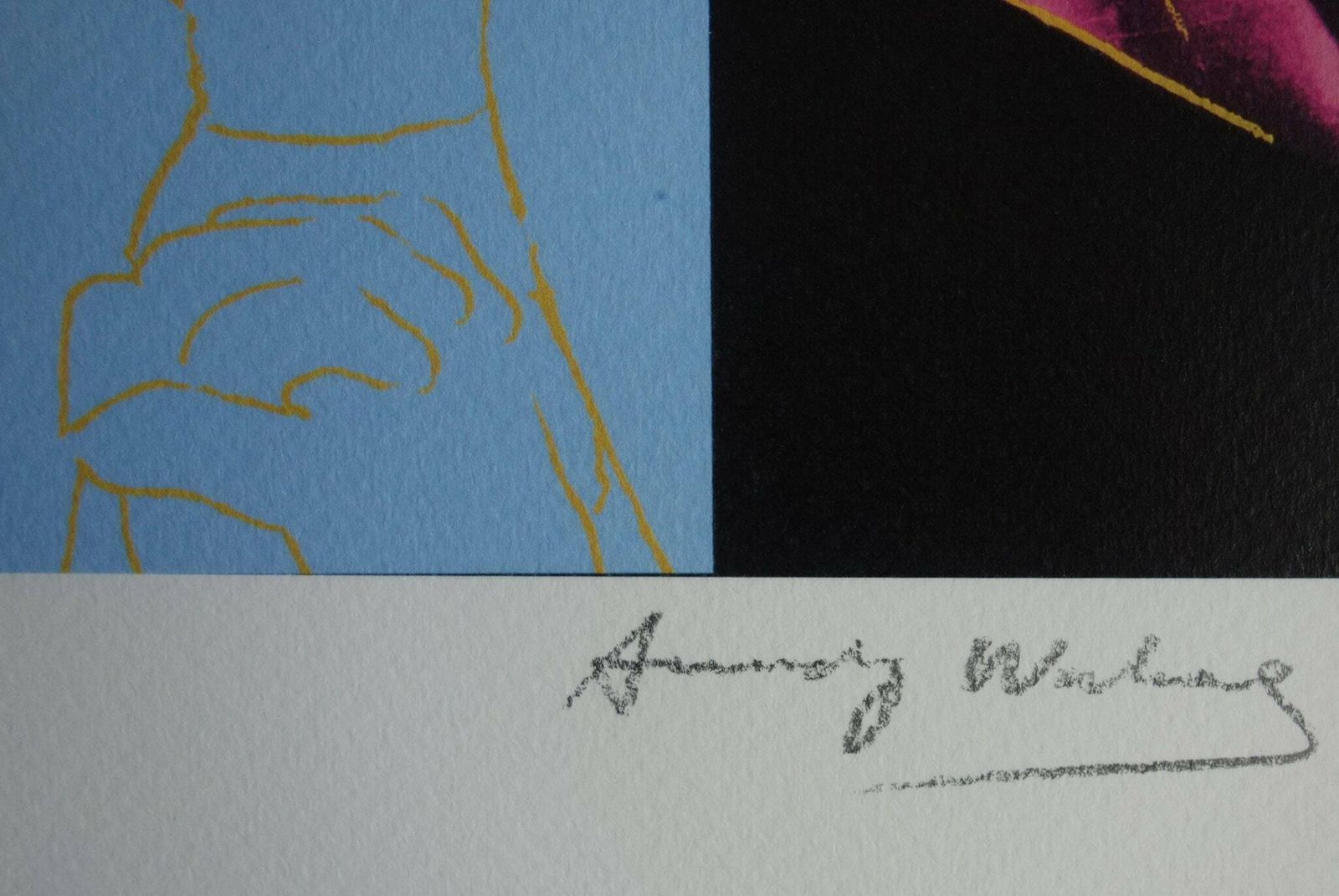 Fine Pop Art Limited Edition Print – Celebrity Portrait Series, Andy Warhol, Signed & Numbered photo Art