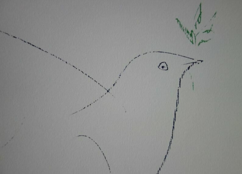 Rare Beautiful Limited Cubist Print   Dove, Pablo Picasso, Signed & Stamped photo vintage