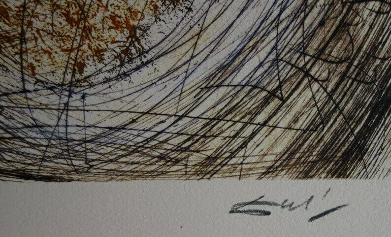 Fine Surrealist Limited Edition Print, Salvador Dali, Signed & Numbered In Pencil photo Art