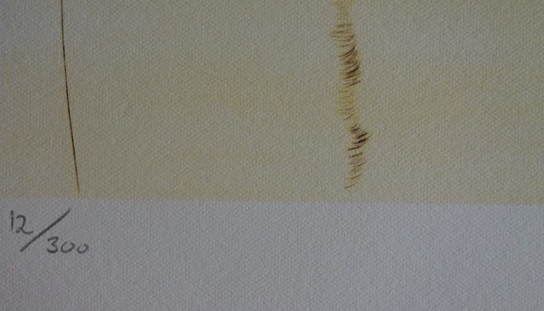 Fine Surrealist Limited Edition Print, Salvador Dali, Signed & Numbered In Pencil photo vinterior