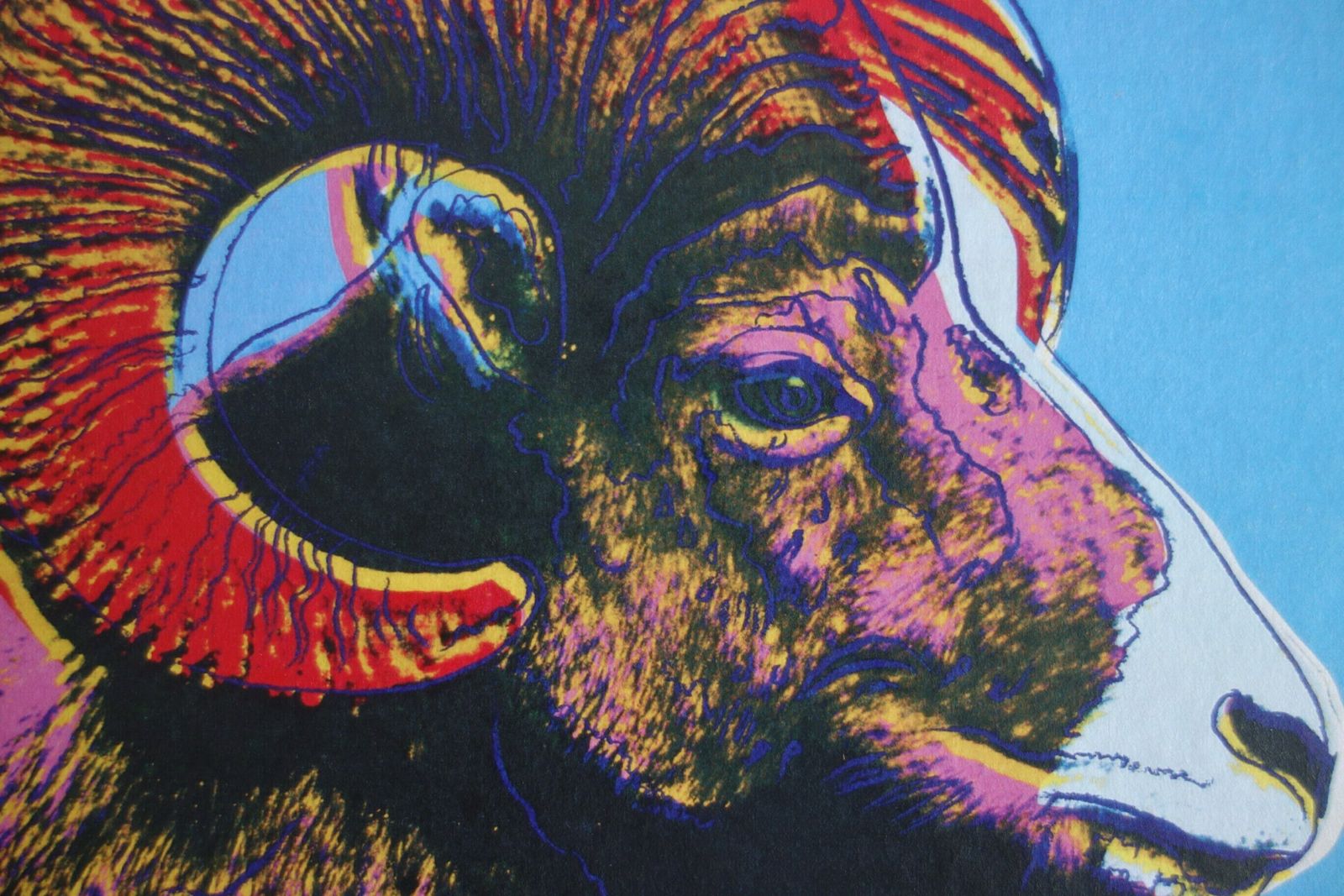 Fine Pop Art Limited Edition Print   Animal Series   Bighorn Ram, Andy Warhol, Signed & Numbered photo furniture