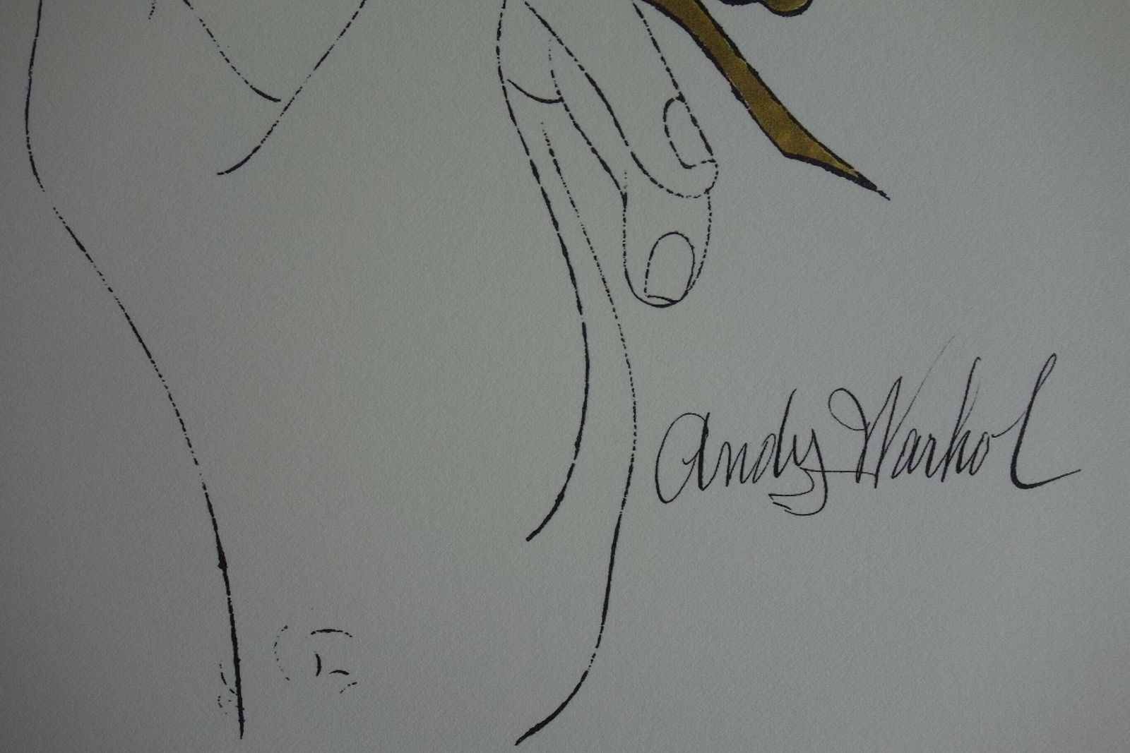 Fine Pop Art Limited Edition Print   Illustration   Flowers, Andy Warhol, Signed & Numbered photo for sale