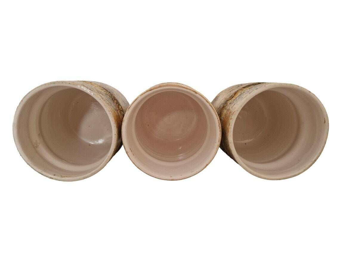 French Pottery Kitchen Canister Set With Cave Paintings Of Prehistoric Animals, Set Of 3, Flour, Sugar And Coffee Jars photo vintage