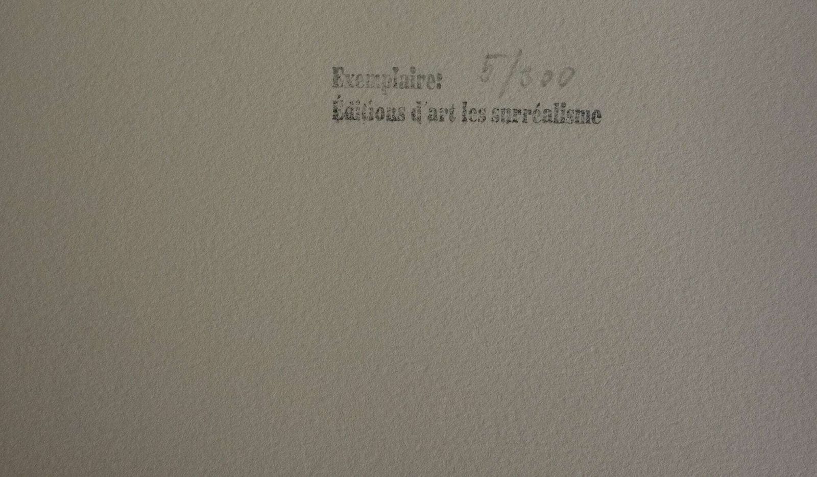 Fine Surrealist Limited Edition Print, Salvador Dali, Signed & Numbered In Pencil photo Art