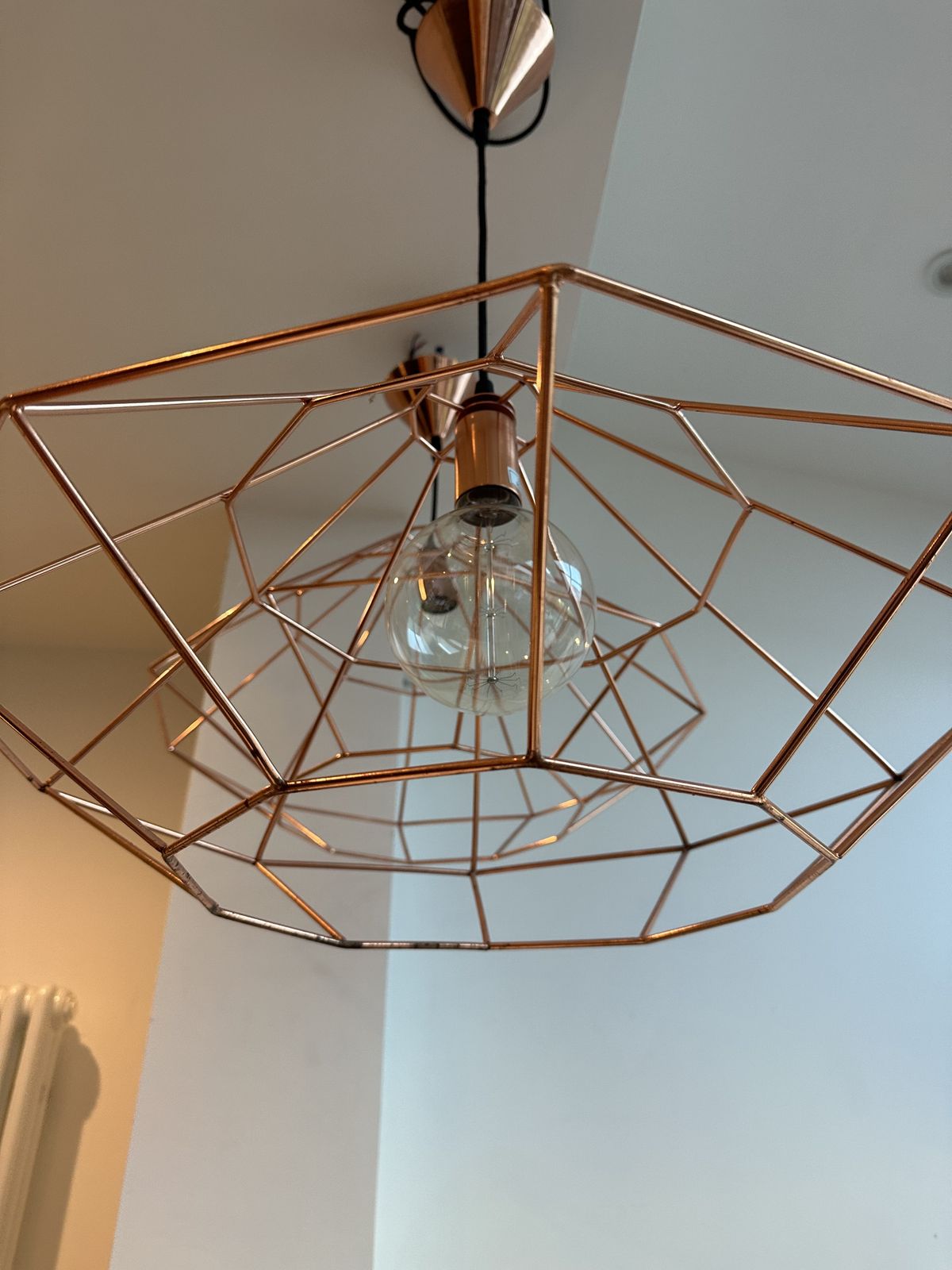 Pair Of Copper Coloured Pendant Lights photo Lighting