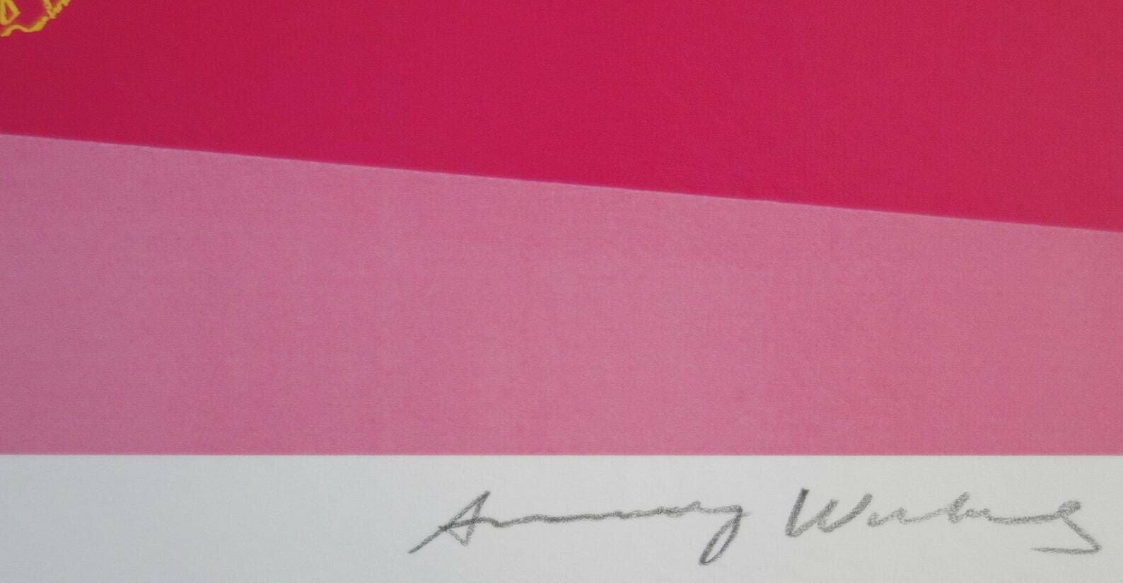 Fine Pop Art Limited Edition Print, Sportsman   Skating, Andy Warhol, Signed & Numbered photo Art