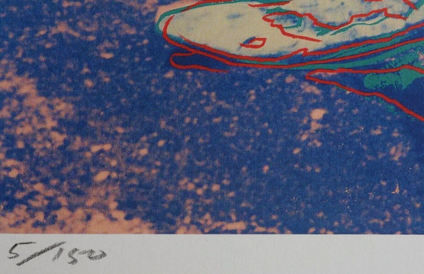 Fine Pop Art Limited Edition Print   Animal Series   Turtle, Andy Warhol, Signed & Numbered photo vinterior