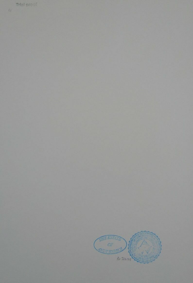 Fine Pop Art Edition Trial Proof Print – Michael Jackson, Andy Warhol, Signed & Stamped With Estate Stamp photo Art