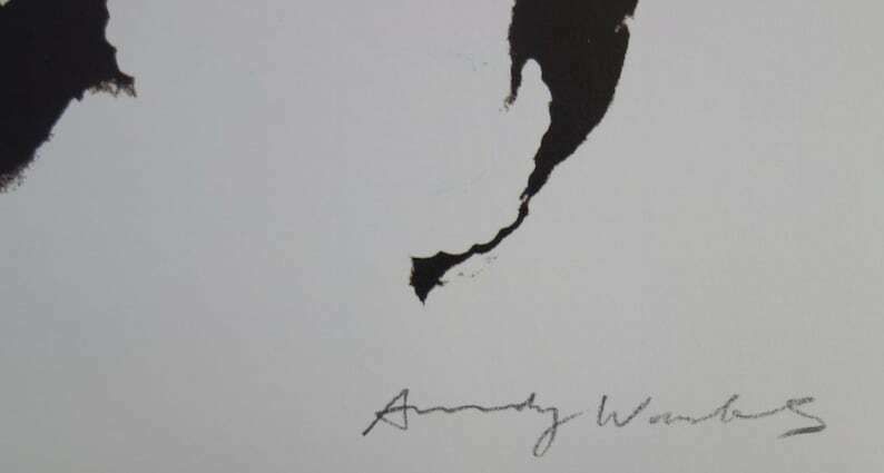 Fine Pop Art Limited Edition Print – Celebrity Portrait Series, Andy Warhol, Signed & Numbered photo for sale