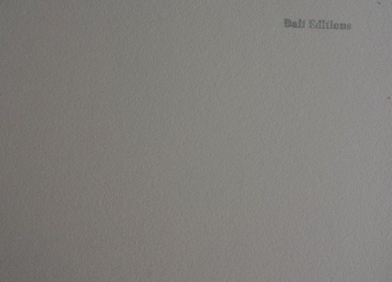 Fine Surrealist Limited Edition Print, Salvador Dali, Signed & Numbered In Pencil photo vinterior