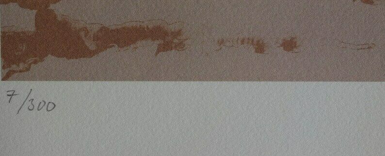 Fine Surrealist Limited Edition Print, Horse Rider, Salvador Dali, Signed & Numbered In Pencil photo Art