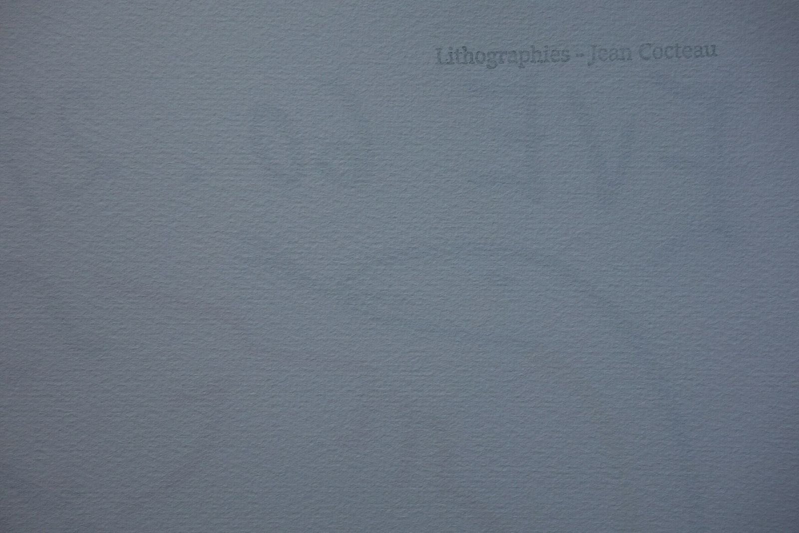 Rare Beautiful Limited Illustration Print   Portrait, Jean Cocteau, Signed, Numbered & Stamped photo vinterior