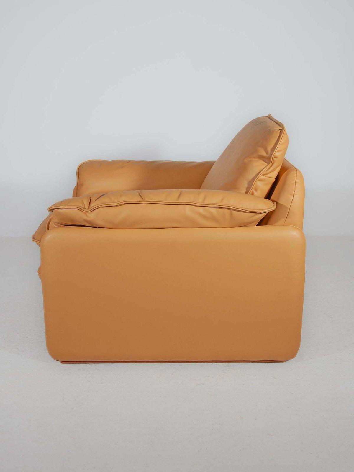 photo furniture Set Of 2 Ds 61 Armchairs Camel Leather Designed By De Sede, 1970s