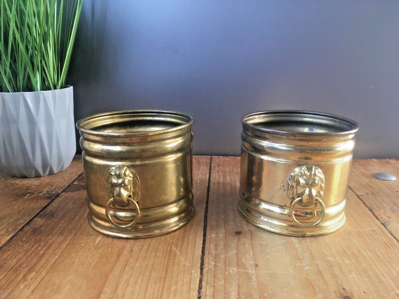 Pair Of Vintage Bates Brass Lions Head Handles Herb Cacti Planters Plant Pots photo 70.0