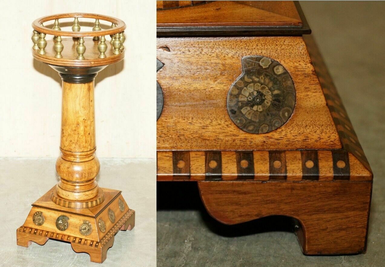 Fine Antique Victorian Burr Oak Ammonite Fossil Corinthian Pillar Pedestal Stand