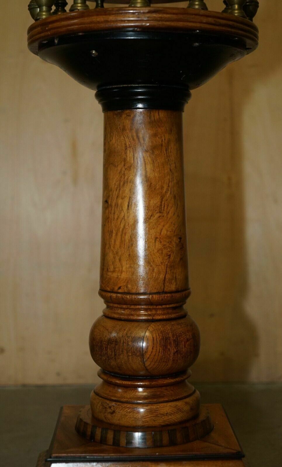 3750.0 Fine Antique Victorian Burr Oak Ammonite Fossil Corinthian Pillar Pedestal Stand photo