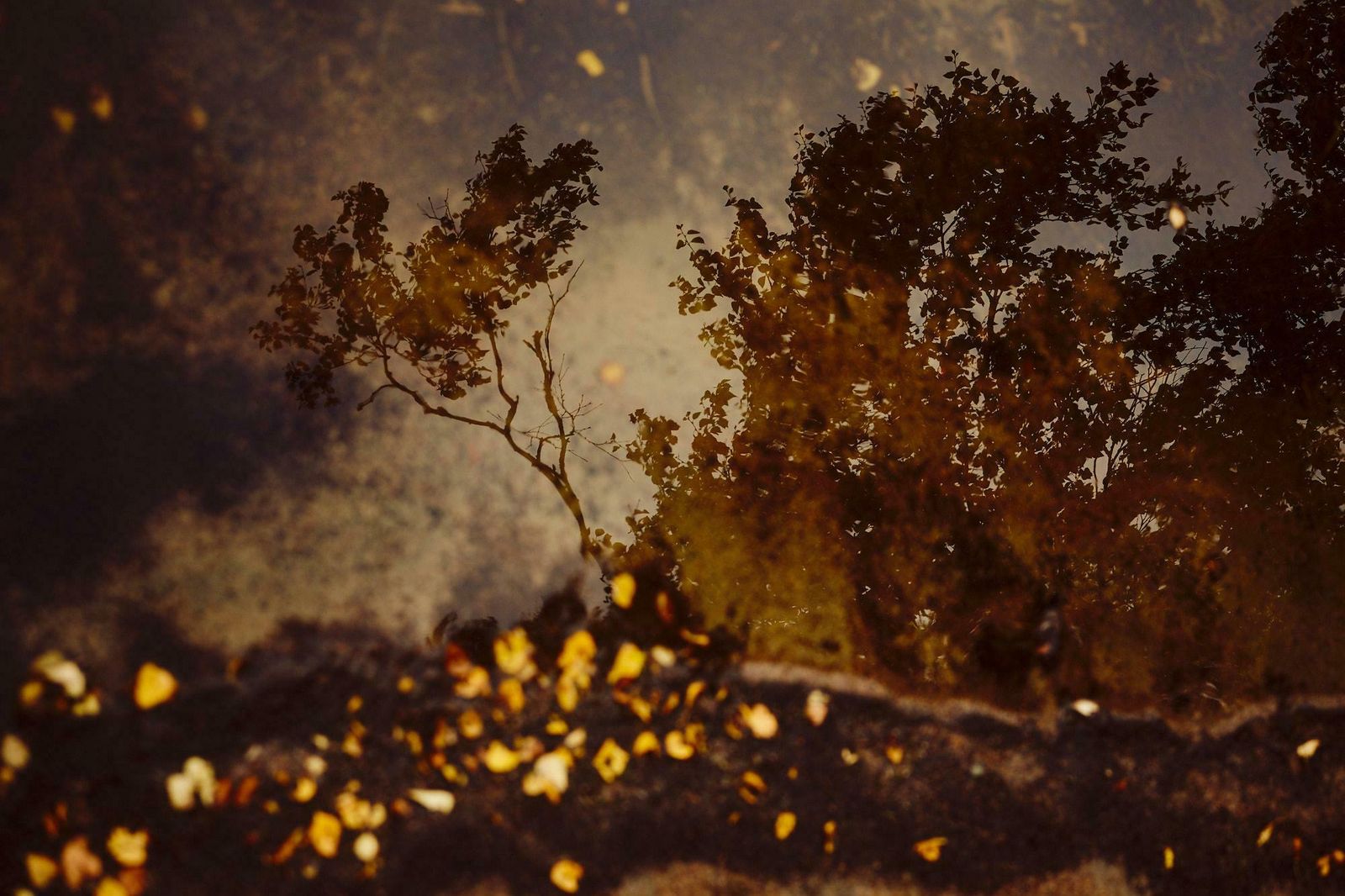 Jaume Llorens Deep Inside III #1 By Jaume Llorens   Landscape Photography, Nature Photography 2018