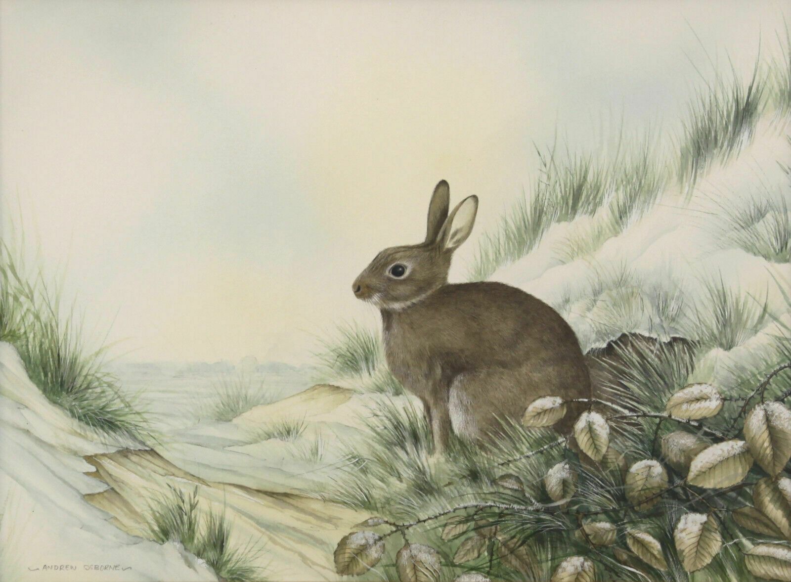 Watercolour Of A Rabbit By Andrew Osborne. photo furniture
