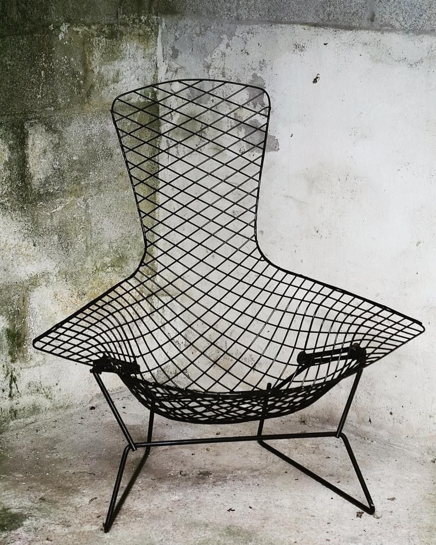 Harry Bertoia Birdcage Chair photo 1350.0