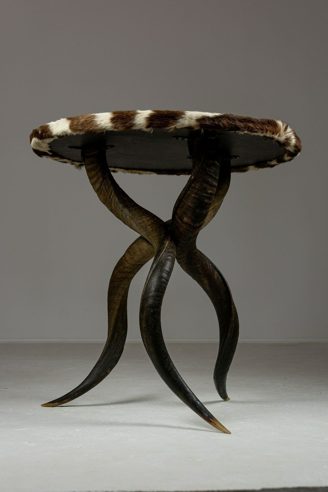 Rare Zebra Hide And Kudu Side Table. 20th Century Design. Unique End Table. Taxidermy photo 1250.0