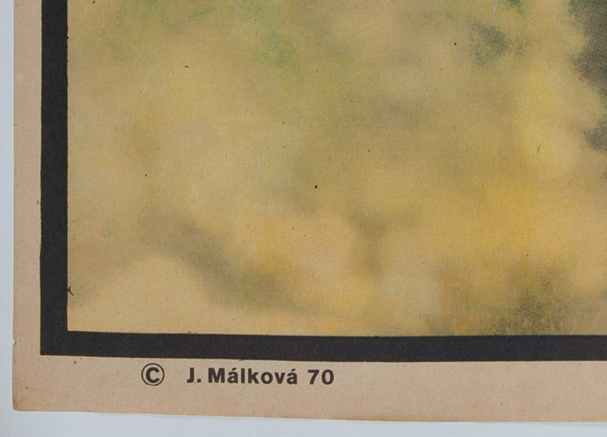 54.0 Movie Poster, Fortress At Sea, Jarmila Málková, 1970 photo
