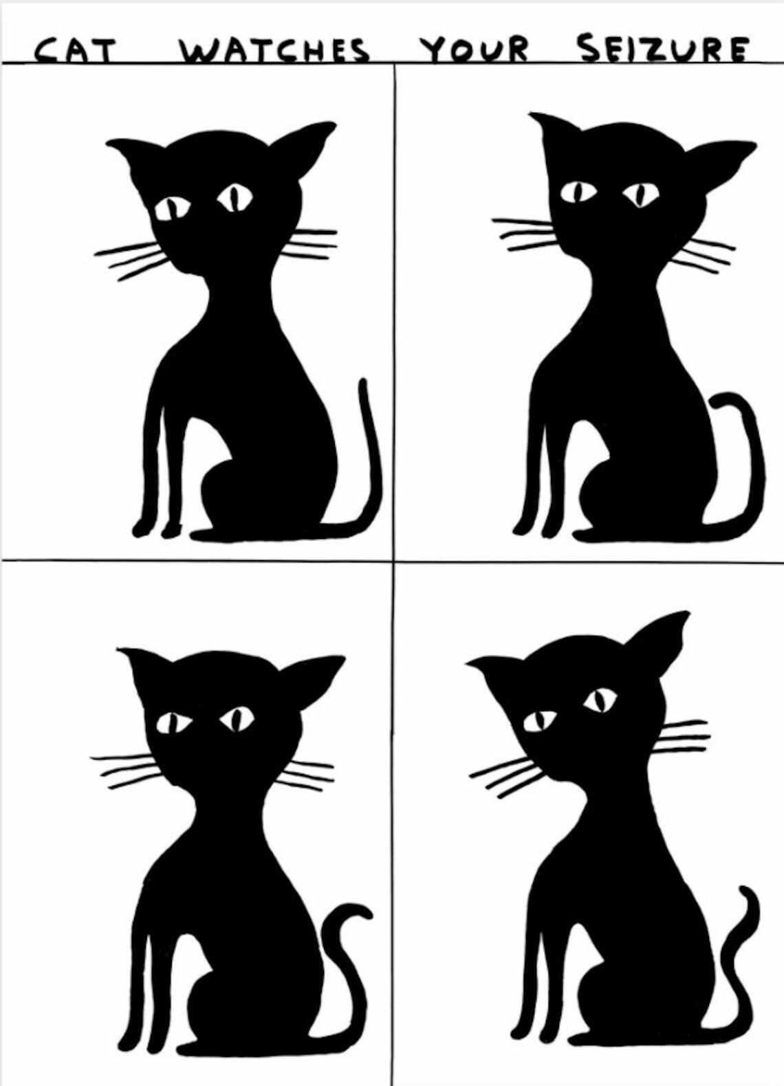 Official David Shrigley Original Print   Cat Watches Your Seizure   Authentic Exhibition Poster