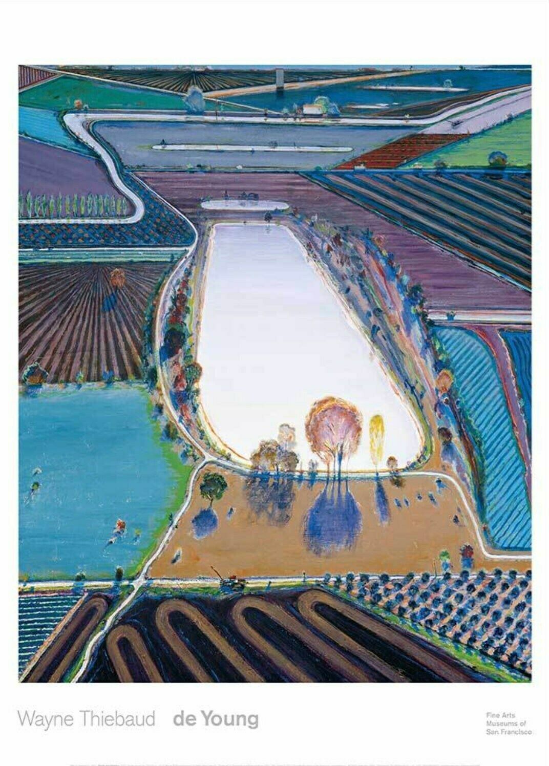 Authentic Wayne Thiebaud Exhibition Poster   Ponds And Streams   Original Museum Print   Pop Art