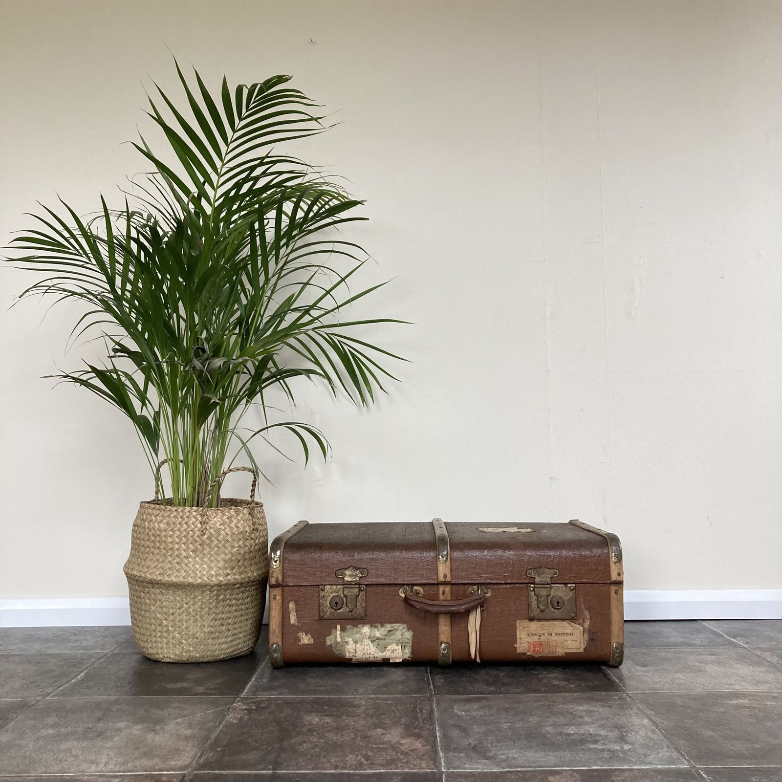 Characterful Antique Bentwood Steamer Trunk / Suitcase / Luggage / Travel Shop Display photo vinterior