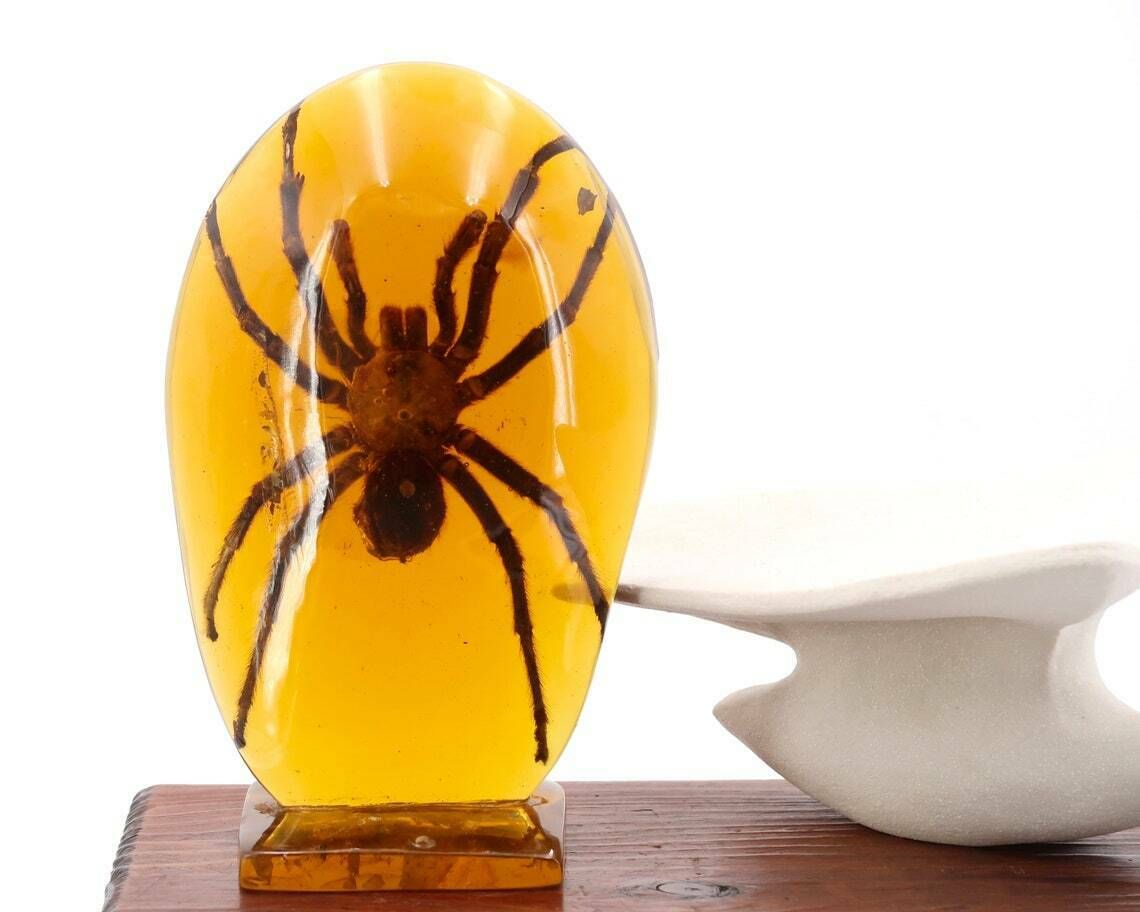 Harssculptuur Met Tarantula, Ca. Jaren 1970 / Cabinet Of Curiosity, Luciet, Spin, Inclusie, Pierre Giraudon, Insect, Presse Papier photo furniture