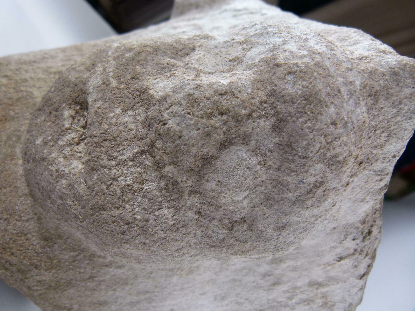 photo vinterior Romanesque Hand Carved Limestone Capital From Spain