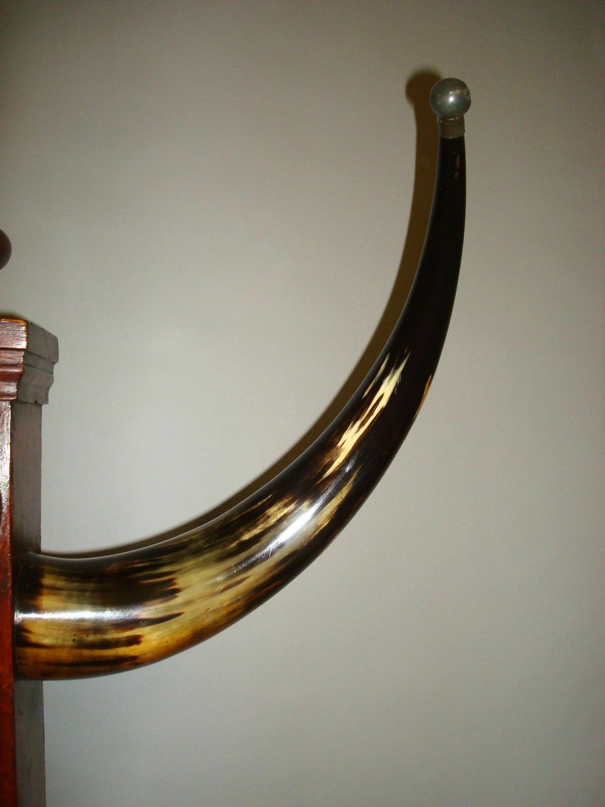 19th Century Cow Horn And Oak Hall Stand photo vinterior
