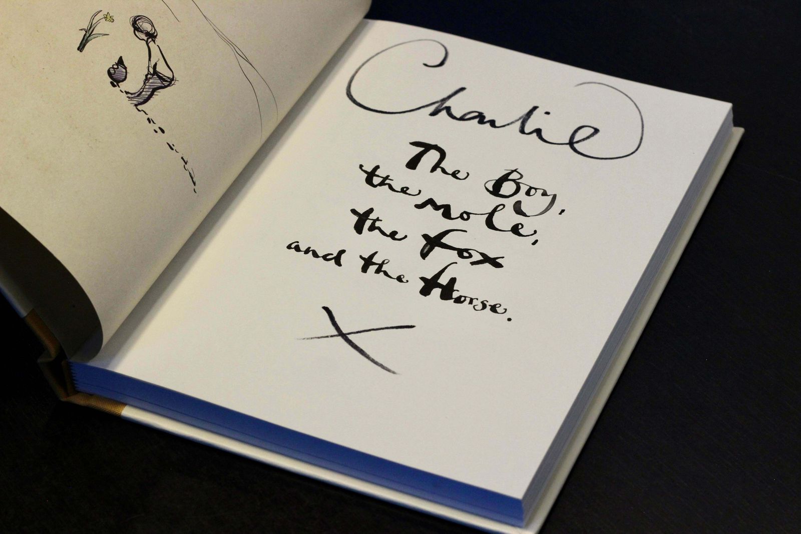 photo vinterior Charlie Mackesy The Boy, The Mole, The Fox & The Horse Signed Set   1st Edition