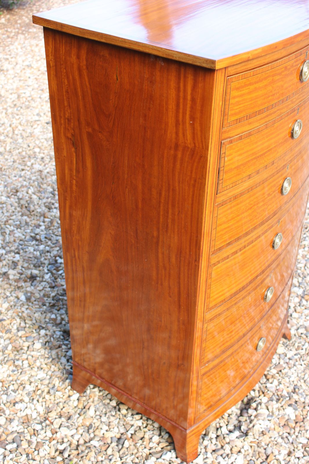 Furniture Sheraton Revival Satinwood Chest photo