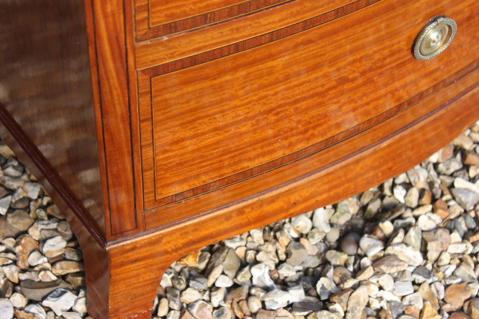 1608.75 Sheraton Revival Satinwood Chest photo