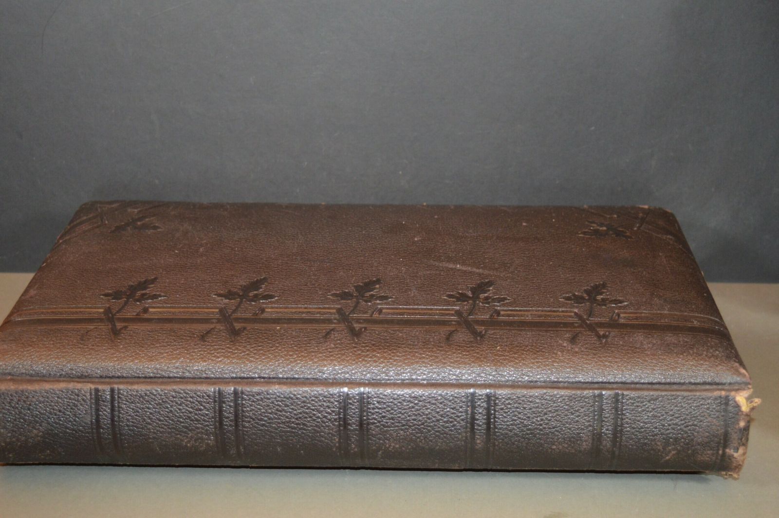 photo furniture Large Tooled Leather Photo Album With 26 Photos C1890