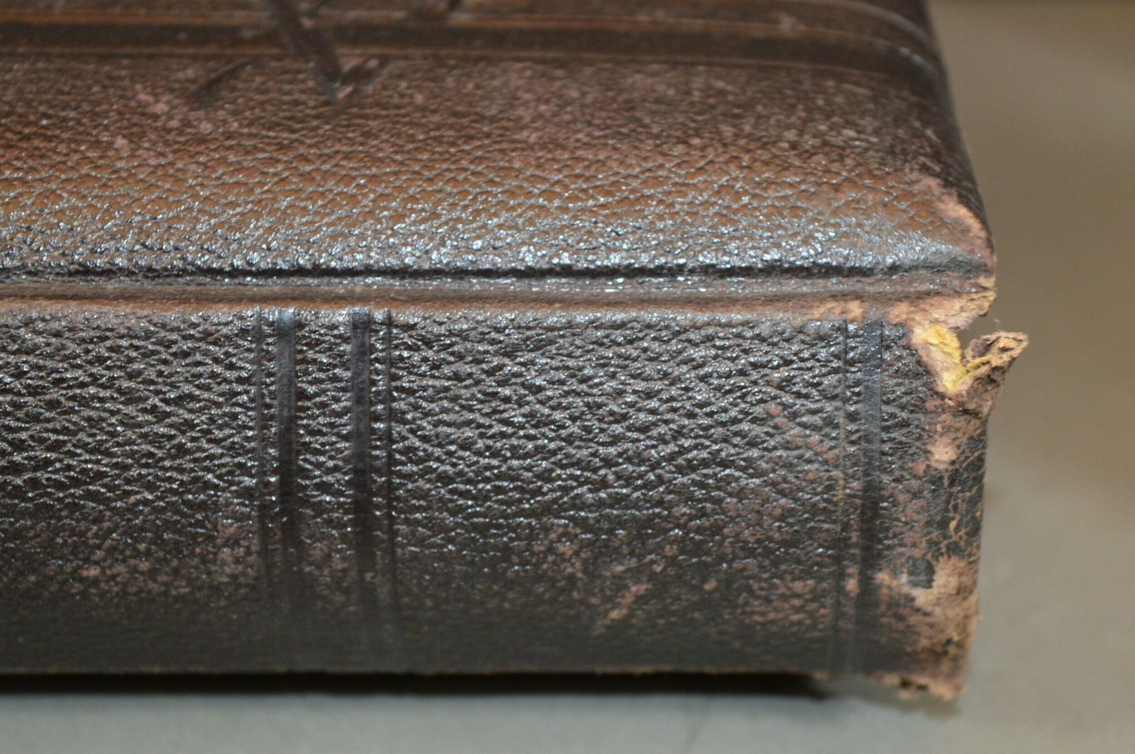 photo for sale Large Tooled Leather Photo Album With 26 Photos C1890